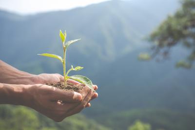 environmental-conservation-in-the-garden-for-children