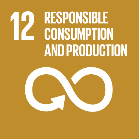 OD 12 – Responsible consumption and production